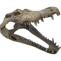 Krokodillenschedel terrariumdecoratie met schuilplaats en zonneplek | L en XXL