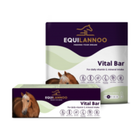 Vitaliteitsbar XXL voor paarden | 13,5 kg energierijke traktatie met vitaminen