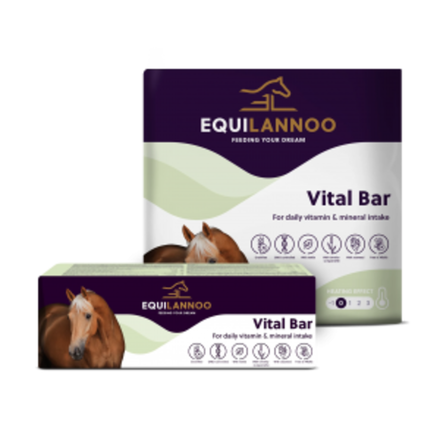 Vitaliteitsbar XXL voor paarden | 13,5 kg energierijke traktatie met vitaminen