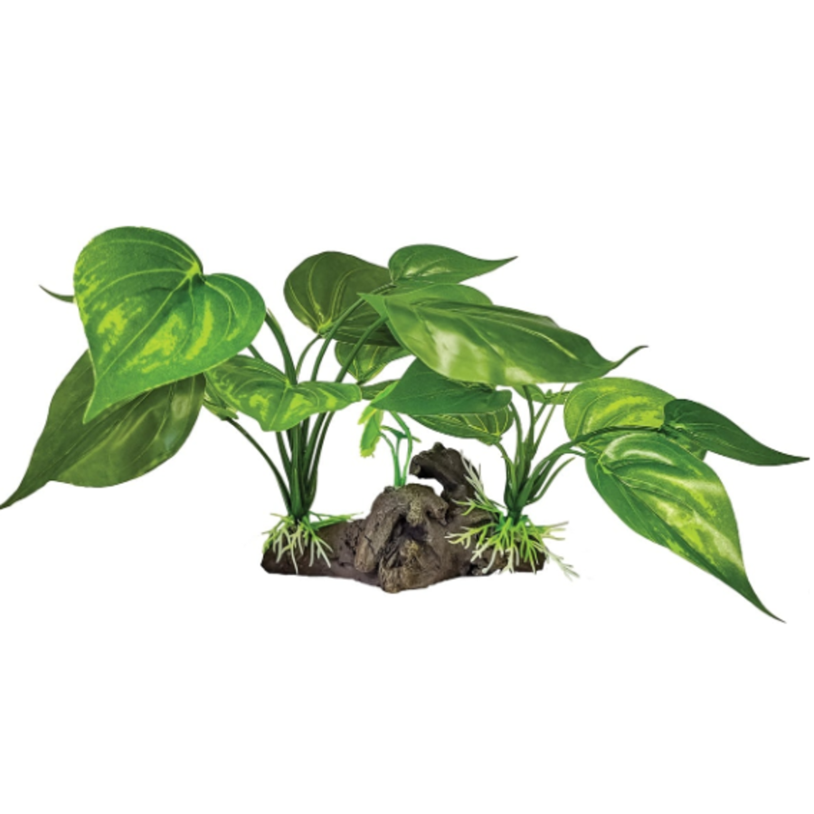 Plant On Deco Light Green kunstplant 30x27x15 cm terrariumdecoratie