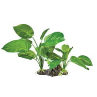 Plant On Deco Dark Green kunstplant 26x16x22 cm voor terrarium
