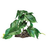 Plant On Deco Elephant Green kunstplant voor terrarium | 46 cm