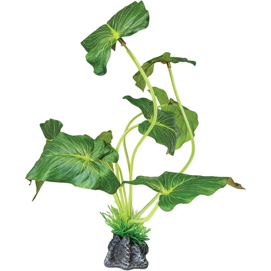Plant Standing Elephant Ear terrariumkunstplant 35 x 15 x 35 cm