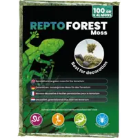 Forest Moss 100 gram natuurlijk terrariummos voor reptielen en amfibieën