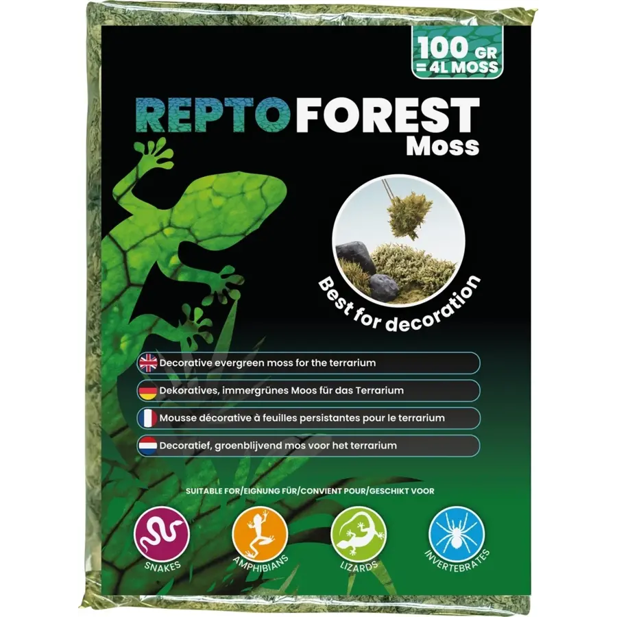 Forest Moss 100 gram