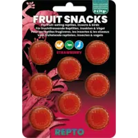 Fruit snacks mix 8x15 g gelcups voor reptielen, vogels en insecten