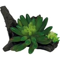 Plant Succulent On Deco 10 x 13 x 8 cm kunstplant voor terrarium