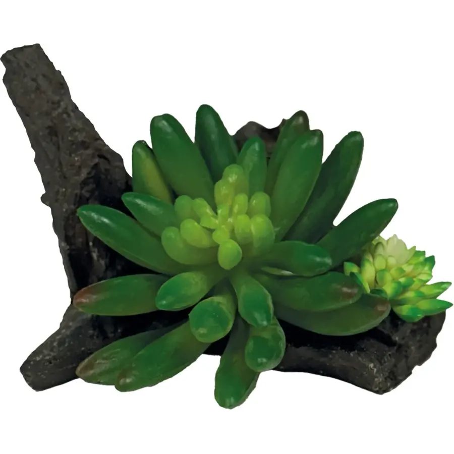 Plant Succulent On Deco 10 x 13 x 8 cm kunstplant voor terrarium