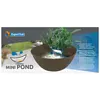 Mini Pond Bruin
