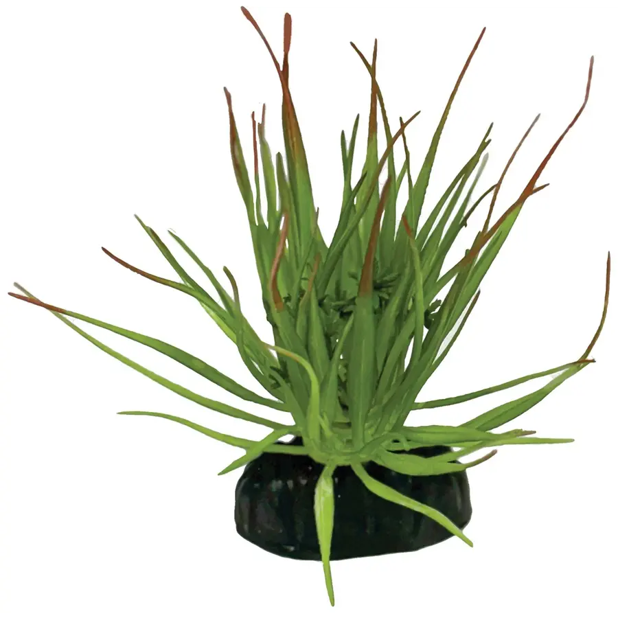 Tillandsia Ion terrariumkunstplant 7 x 8 x 11 cm schuilplaats voor reptielen en amfibieën