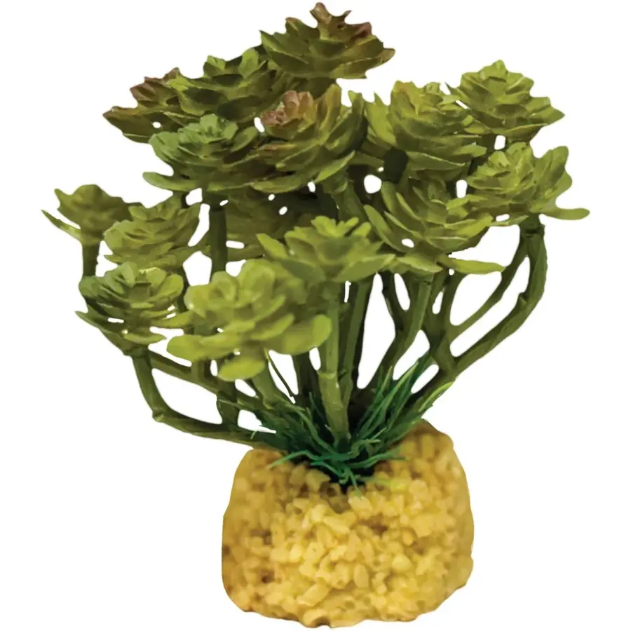 Kunstplant Cactus Tree voor reptielenterrarium 30cm