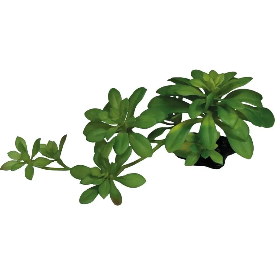 Kunstplant Succulent Green XL voor terrariumdecoratie