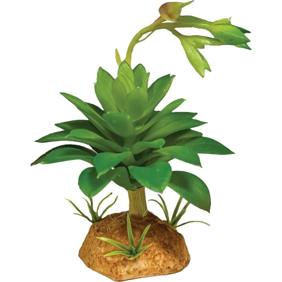 Kunstplant Succulent Green 14x10x7 cm onderhoudsvrije terrarium schuilplaats