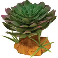 Kunstplant Echeveria voor terrarium 17 cm schuilplaats voor reptielen