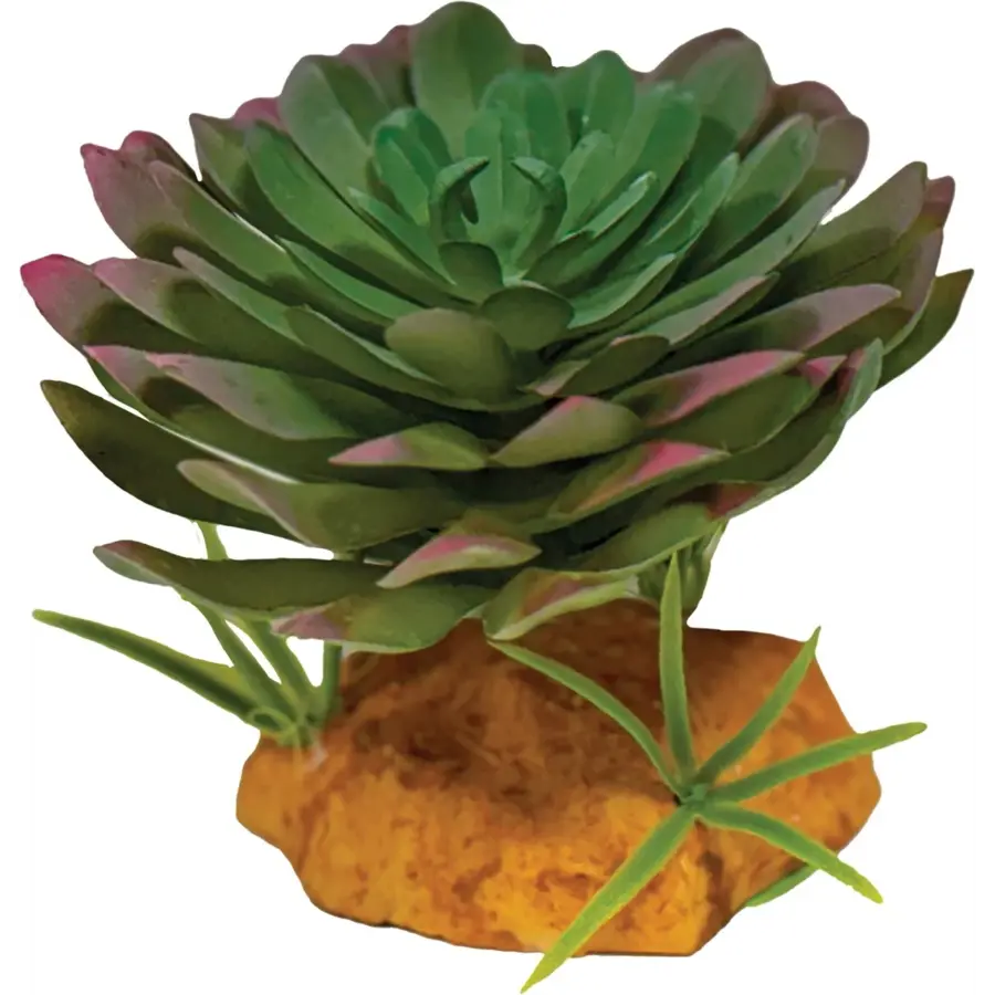 Kunstplant Echeveria voor terrarium 17 cm schuilplaats voor reptielen