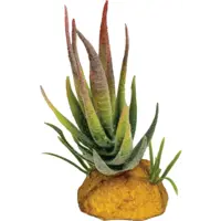 Plant Aloe Red Tip | compacte aloë terrariumkunstplant ca. 11 cm voor reptielen en amfibieën