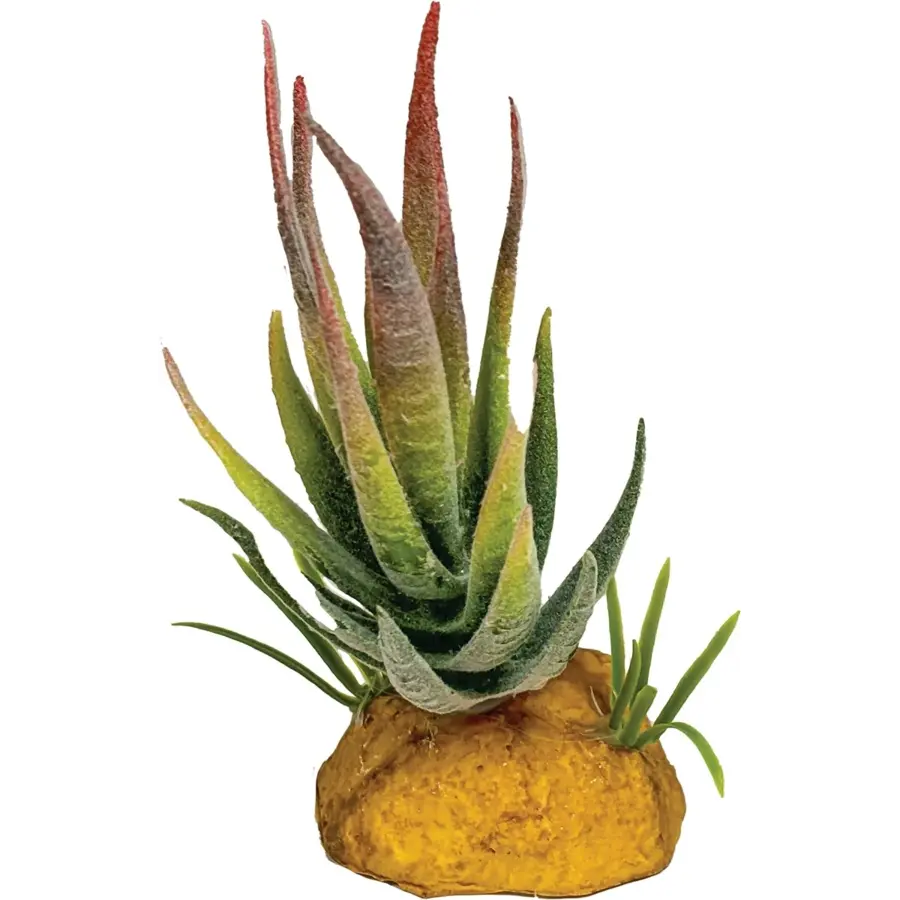 Plant Aloe Red Tip | compacte aloë terrariumkunstplant ca. 11 cm voor reptielen en amfibieën