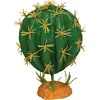 Plant Cactus Orb
