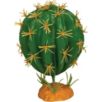Plant Cactus Orb