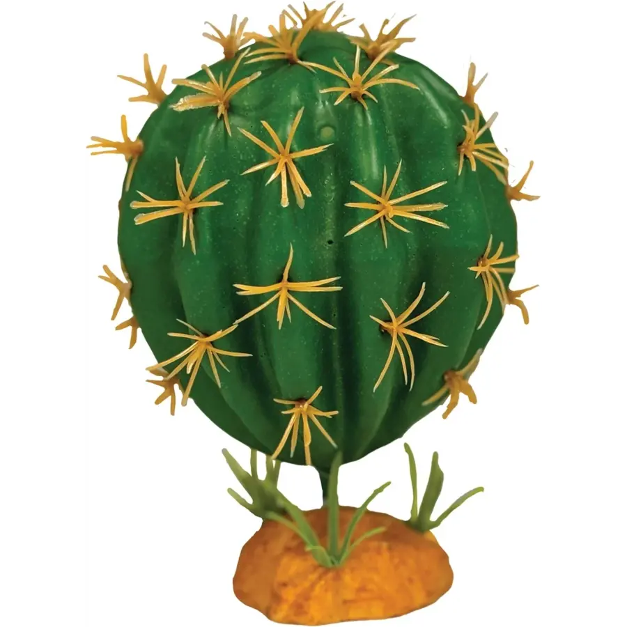 Plant Cactus Orb