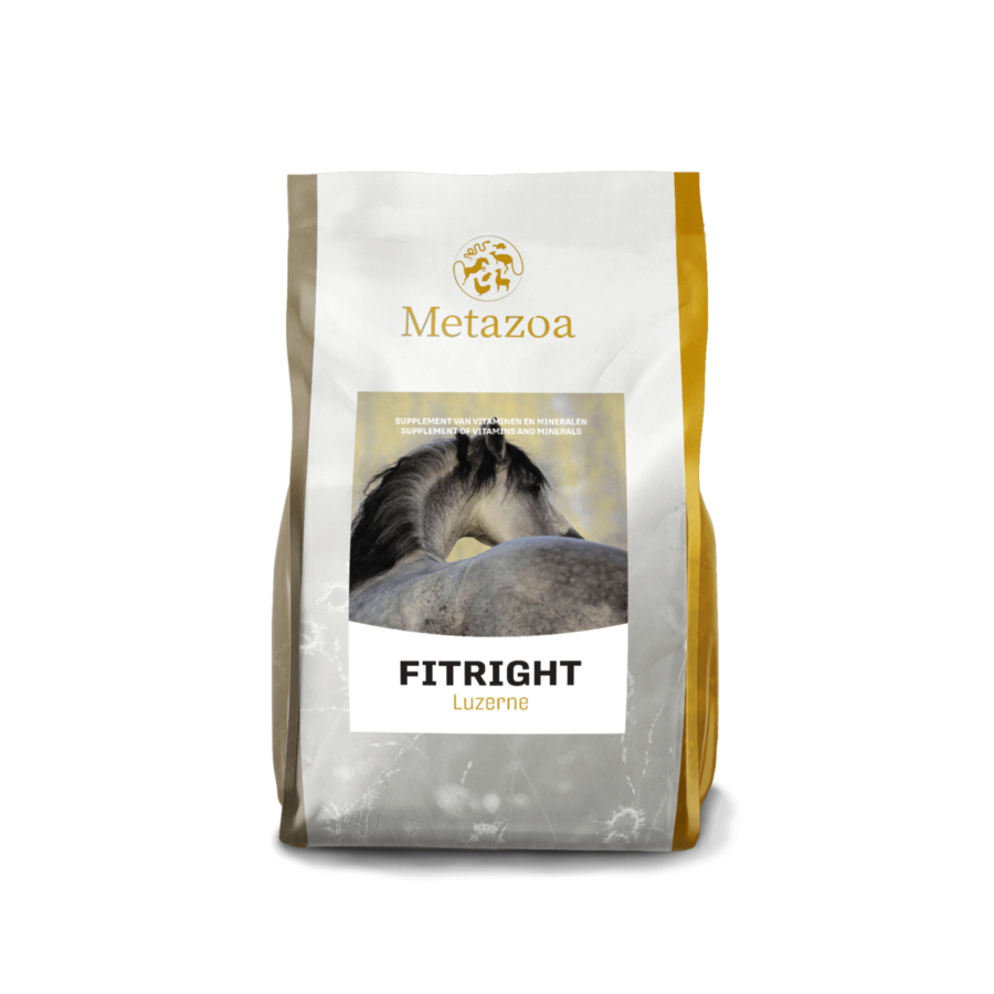 FitRight Luzerne