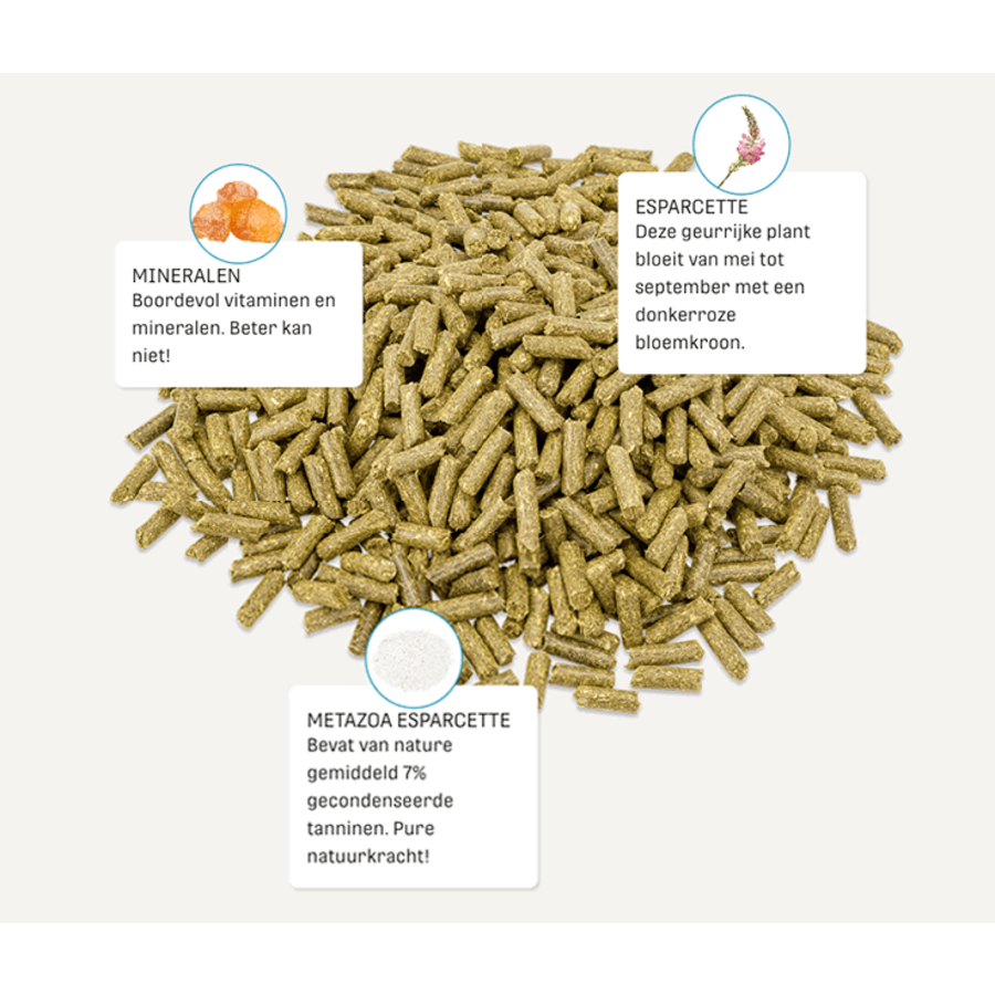 FitRight Esparcette 15KG