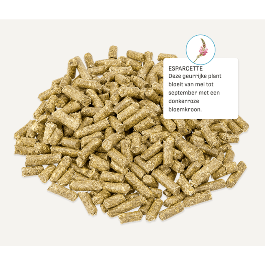 DigestFit Esparcette 15KG