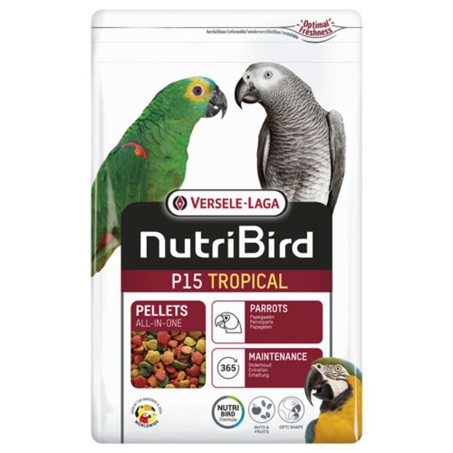 P15 Tropical Papegaai Onderhoud