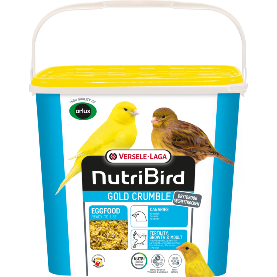 Gold Crumble Kanarie