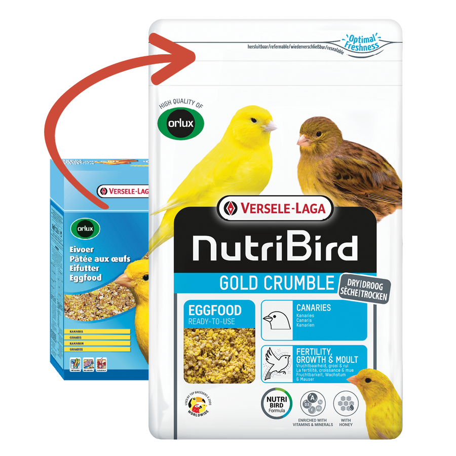 Gold Crumble Kanarie