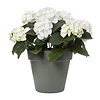 Bloempot Pebble 30 cm