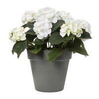 Bloempot Pebble 30 cm