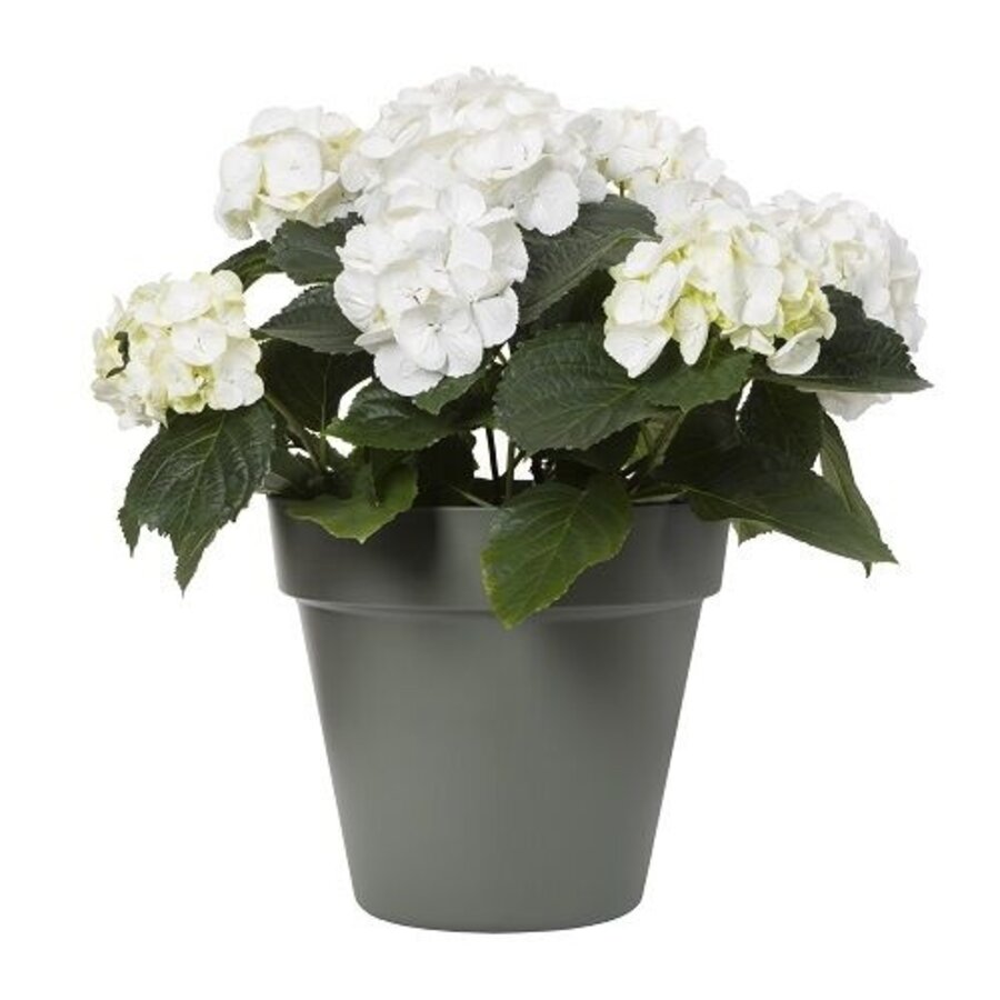 Bloempot Pebble 30 cm