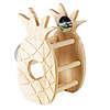 Houten Ananas Hooiruif