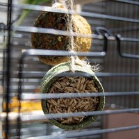 Zitstok fruit & zaden +/-150g