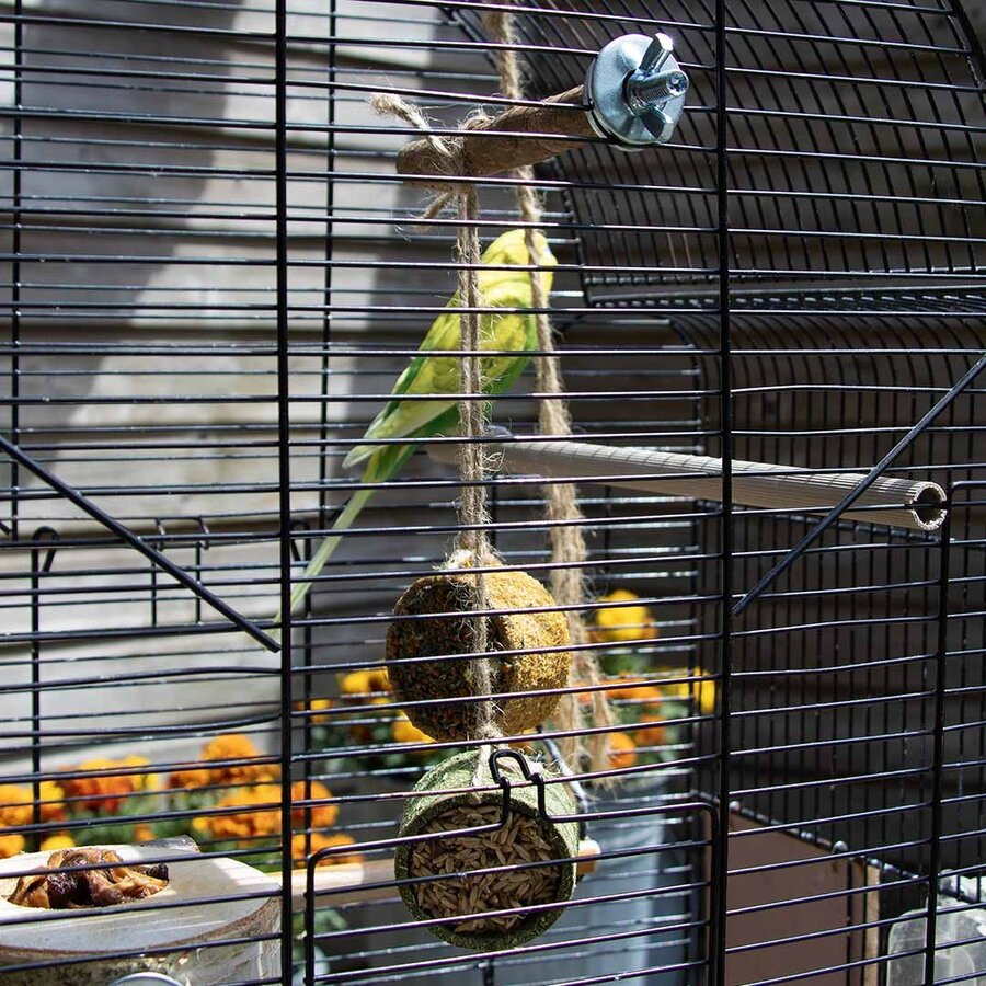 Zitstok fruit & zaden +/-150g