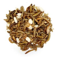 Premium insectenmix voor vissen