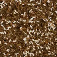 Premium insectenmix voor vissen