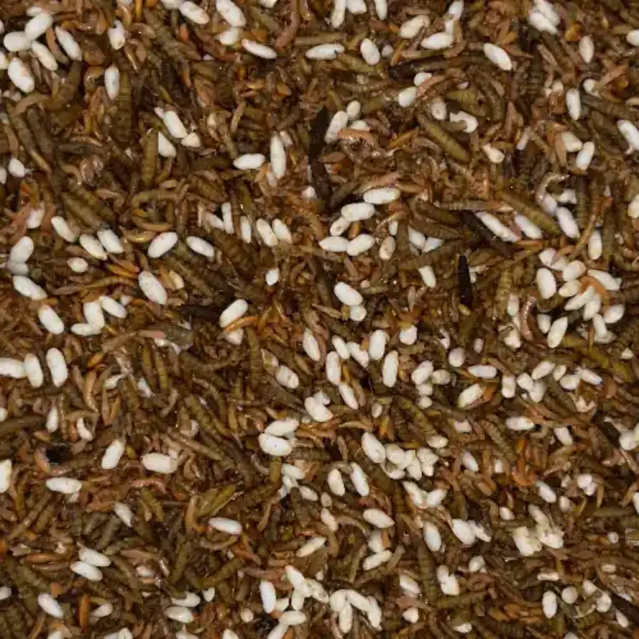 Premium insectenmix voor vissen