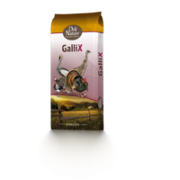 GalliX austri onderhoud pellet 20KG