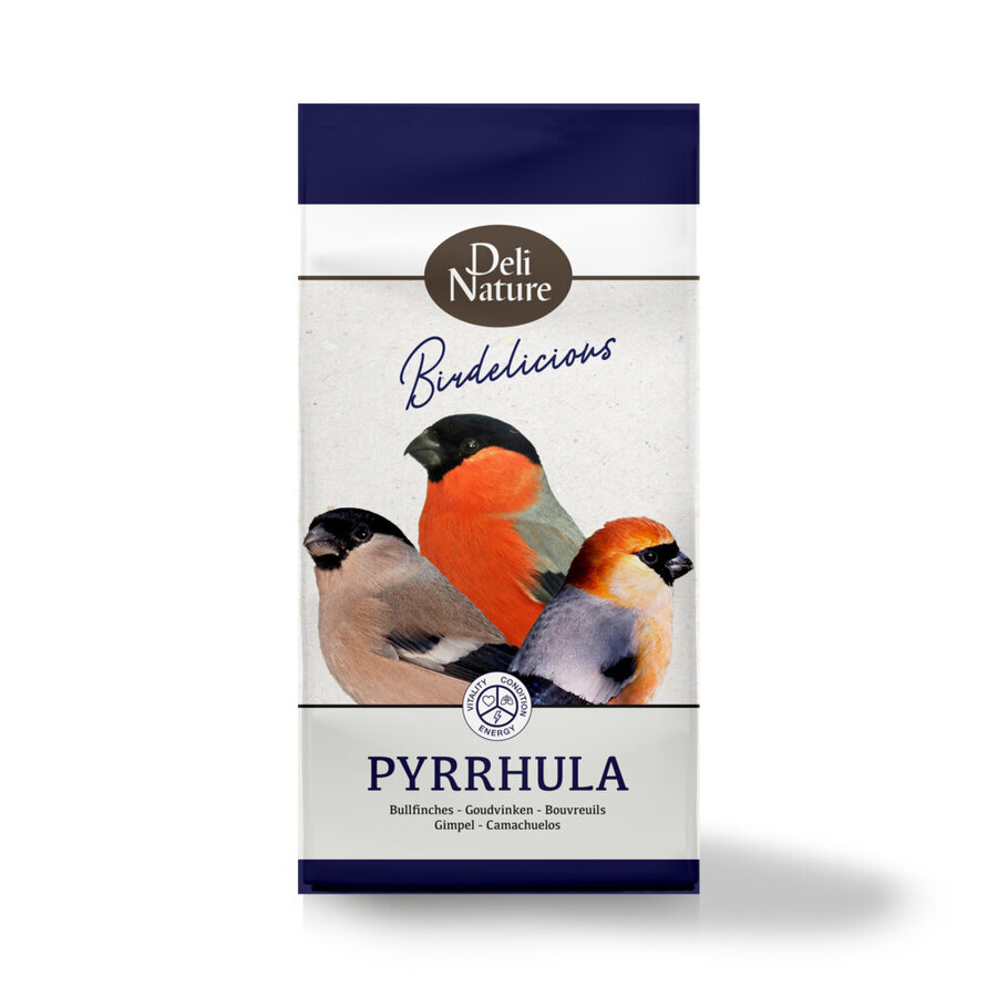 Birdelicious Pyrrhula Goudvinken