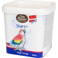 Start+ High Energy