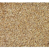 Witzaad Extra nr.86 20KG
