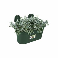 Green Basics Easy Hanger Large