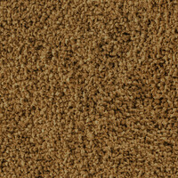 Discus Granules