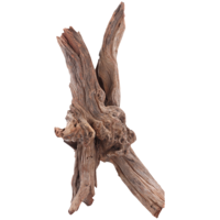 Drift Wood - Natuurlijk drijfhout