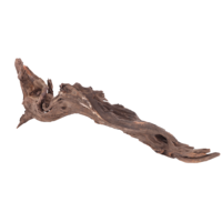 Drift Wood - Natuurlijk drijfhout
