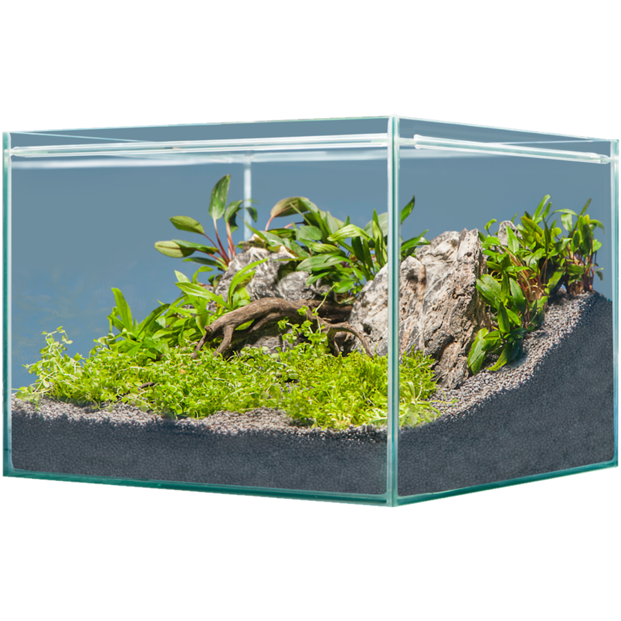 Hardscape Asia