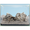 Hardscape Asia