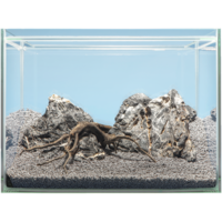 Hardscape Asia
